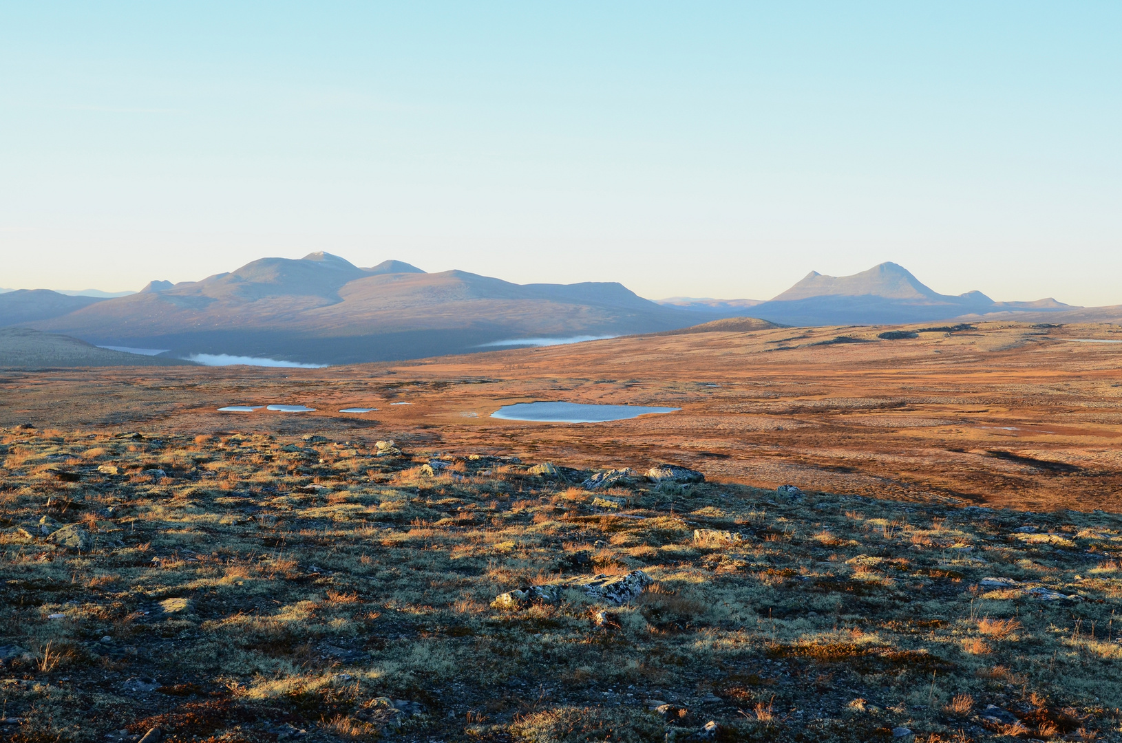 Pika-Rondane