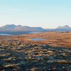 Pika-Rondane