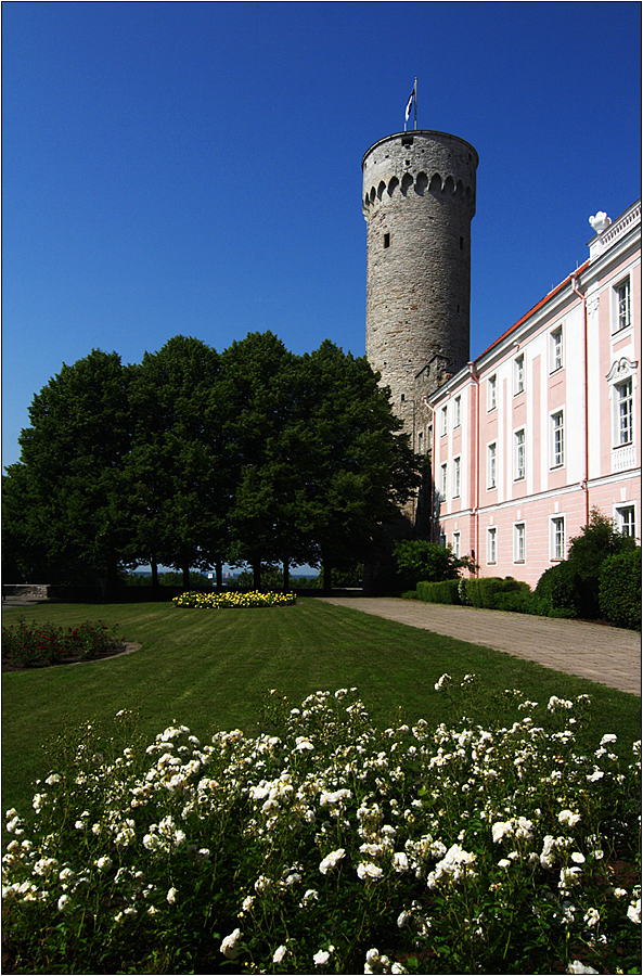 pikk hermann (der "lange hermann")