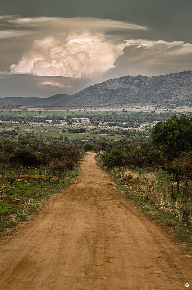 Pilanes National Park, South Africa