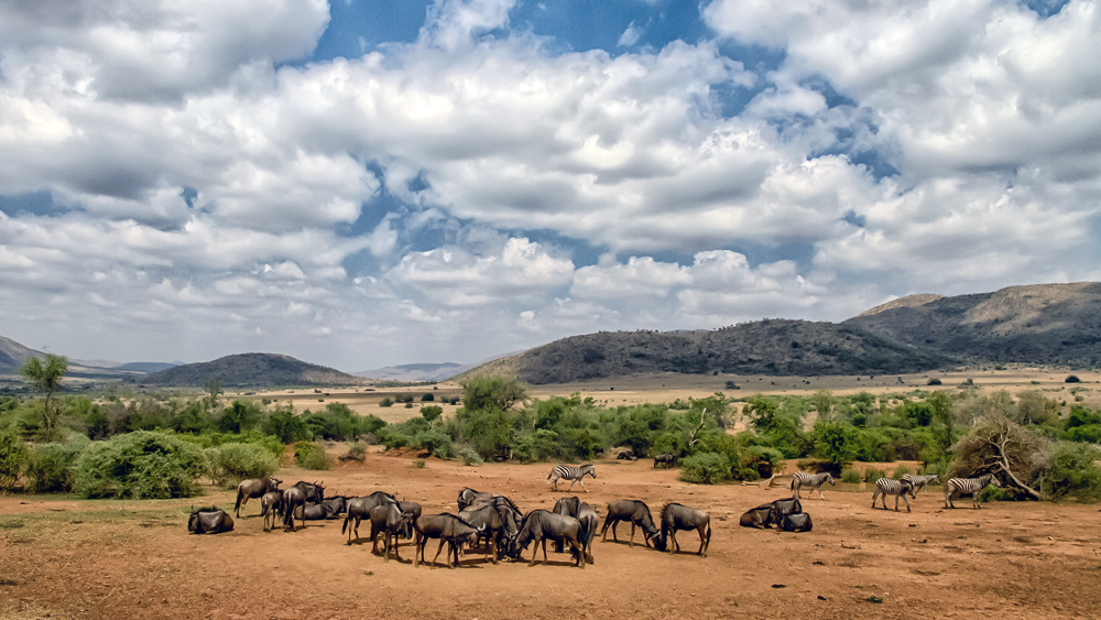 Pilanesberg