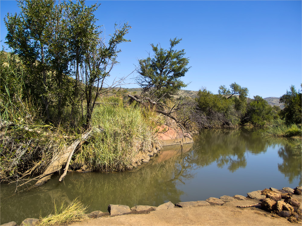 PilanesBerg