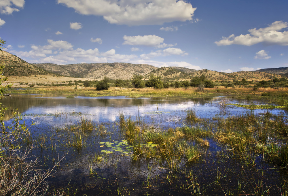 PilanesBerg III