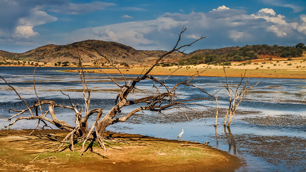 Pilanesberg Nationalpark