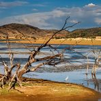 Pilanesberg Nationalpark