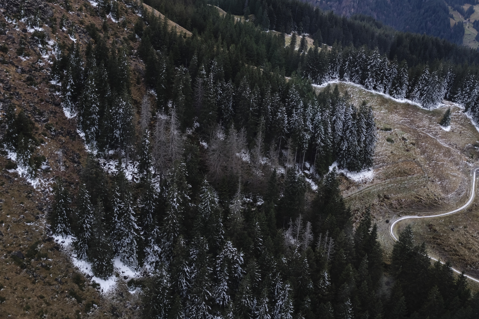 Pilatus 3 Foto & Bild jahreszeiten, herbst, natur Bilder auf