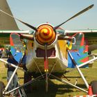 Pilatus PC-6 Porter ("Bunter Freddy")