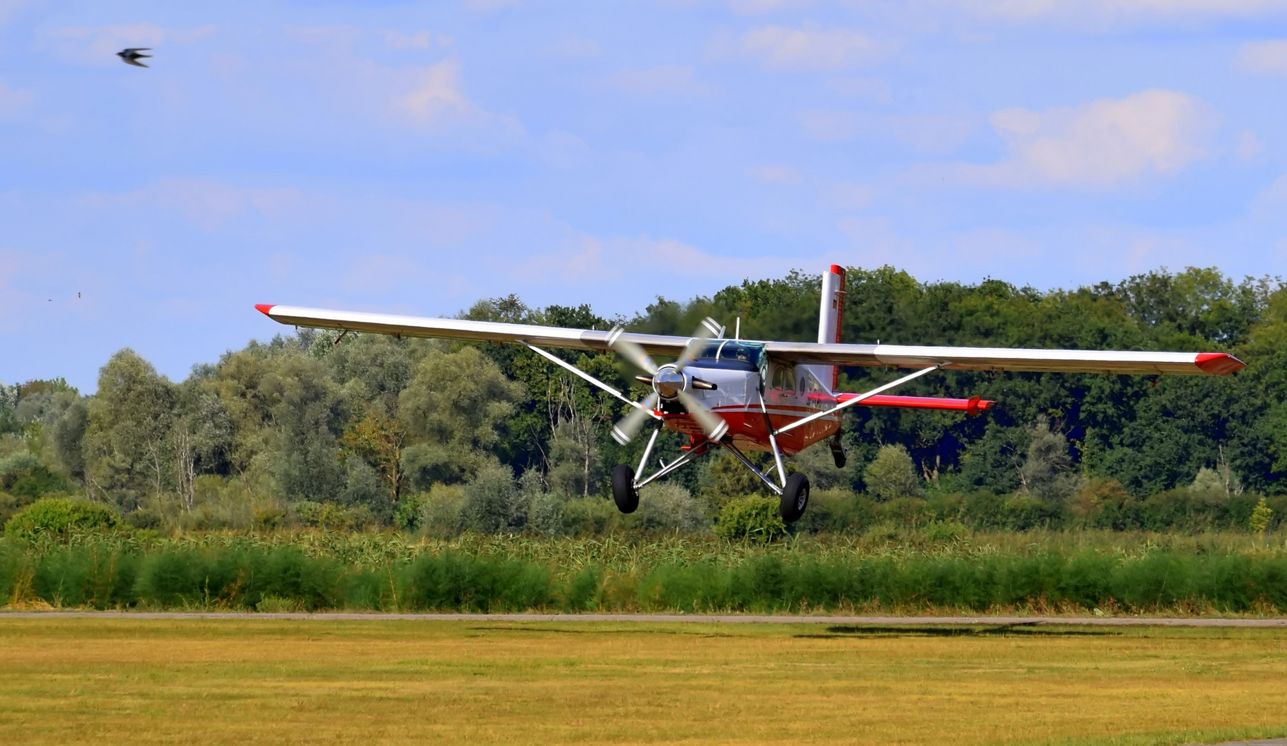 Pilatus Porter