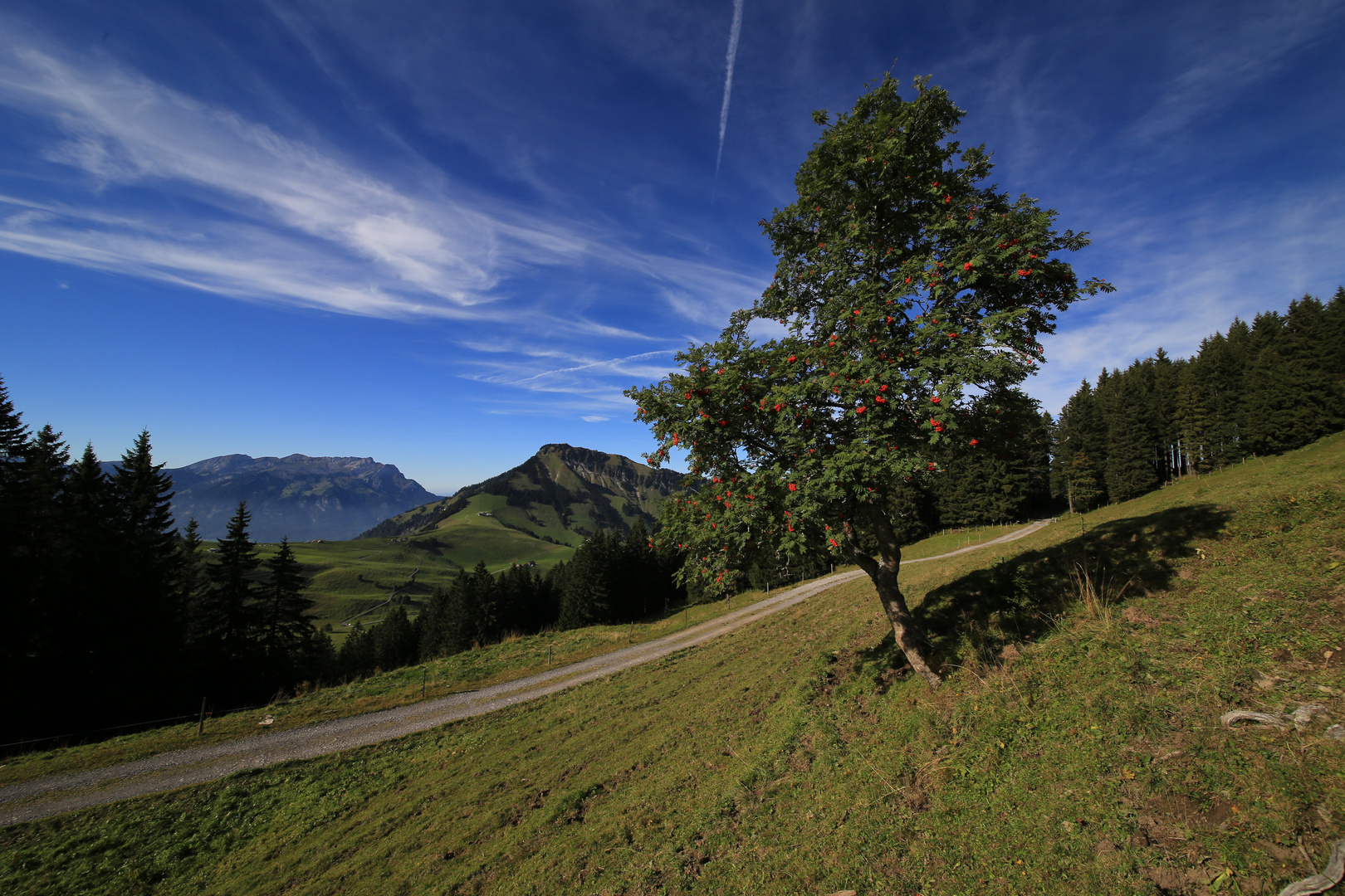 Pilatus und Stanserhorn auf dem Heimweg am späten Nachmittag