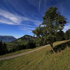 Pilatus und Stanserhorn auf dem Heimweg am späten Nachmittag