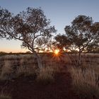 Pilbara