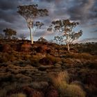 PILBARA MORNING