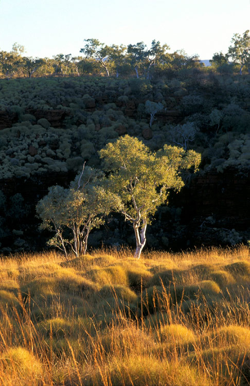 Pilbara Sunset