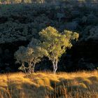 Pilbara Sunset