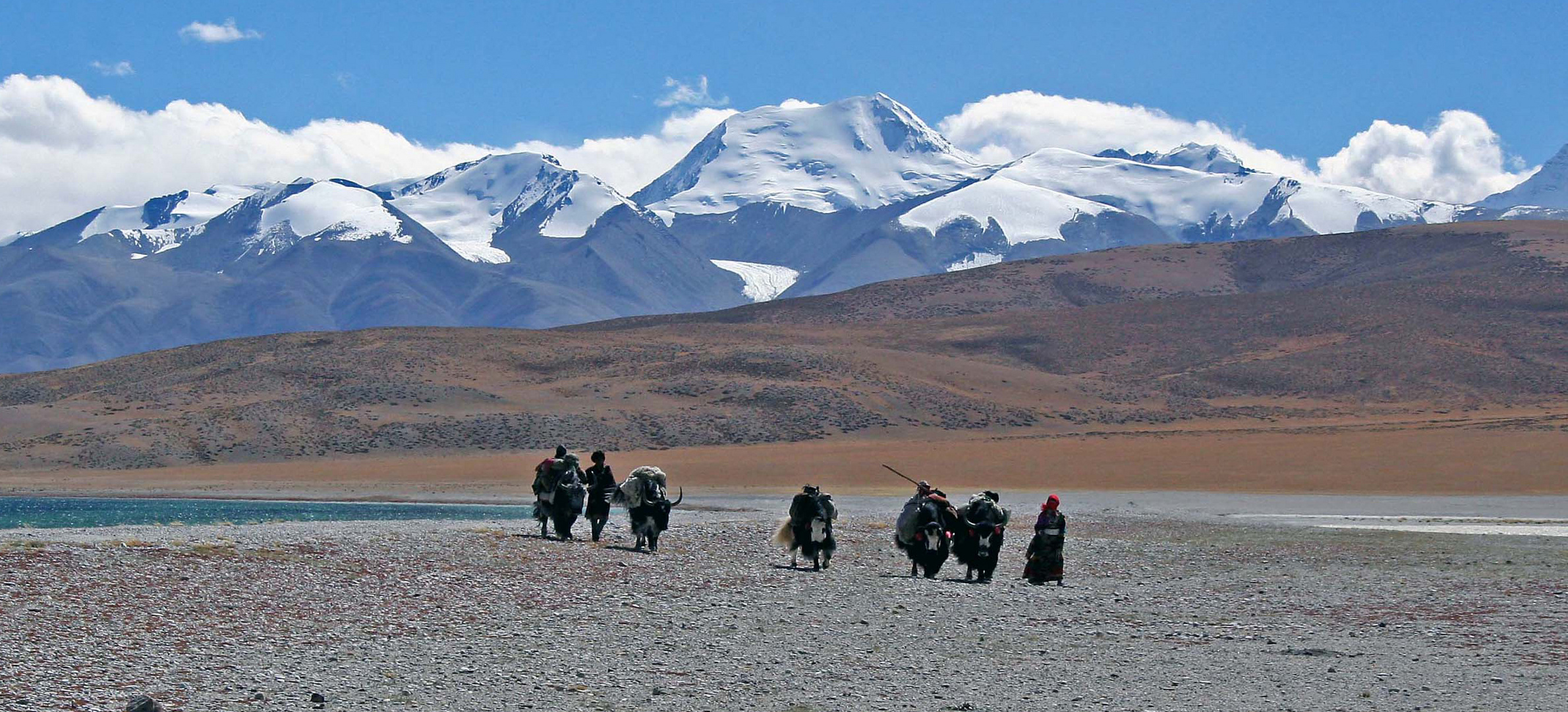 Pilger am Manasarovar