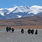 Pilger am Manasarovar