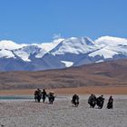 Pilger am Manasarovar See