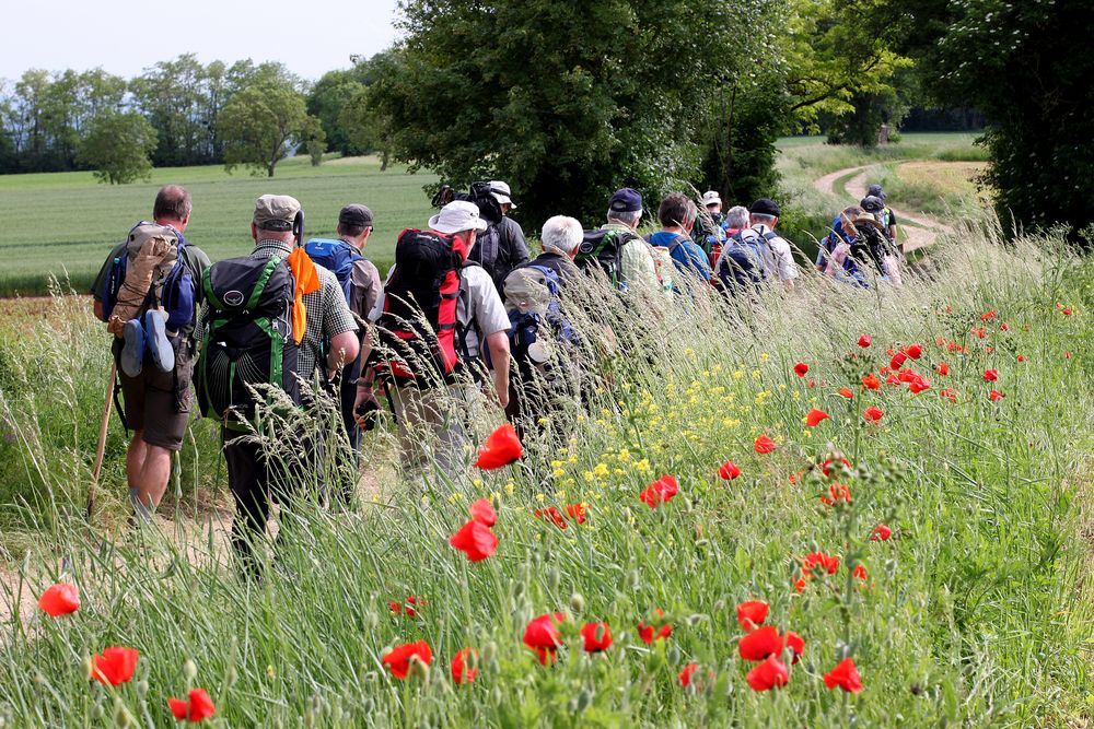 Pilgern 7 Foto & Bild europe, on the road, jakobsweg camino Bilder