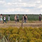 Pilgern auf den Pfaden der Landwirtschaft