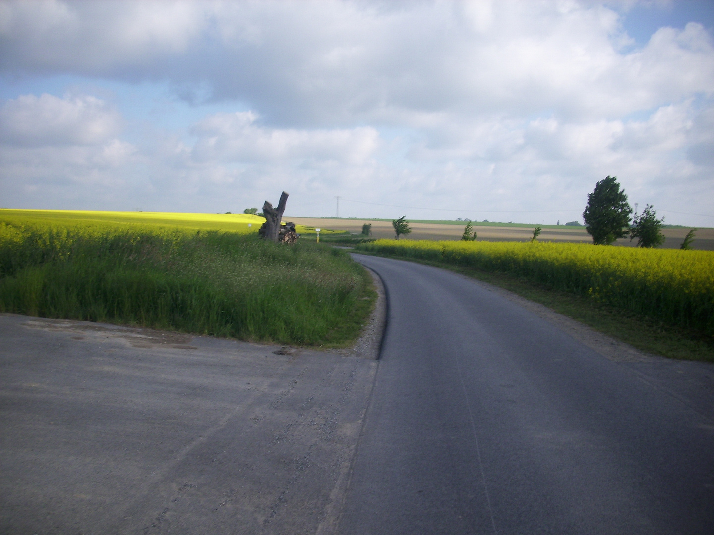 Pilgern,der Weg zum Ziel