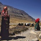 Pilgrims came across in the Lhachu valley