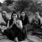 Pilgrims, India