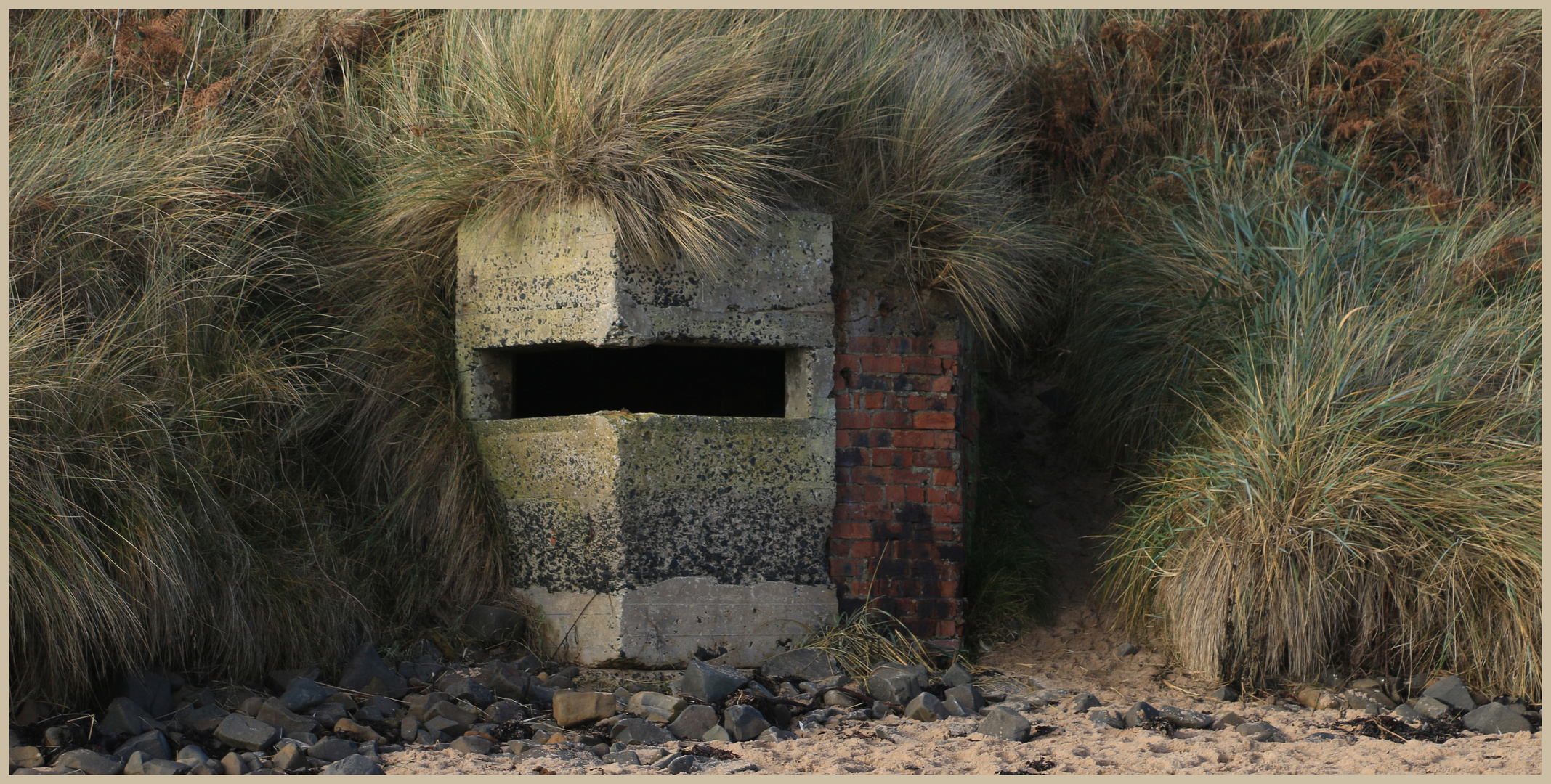 pill box embleton bay