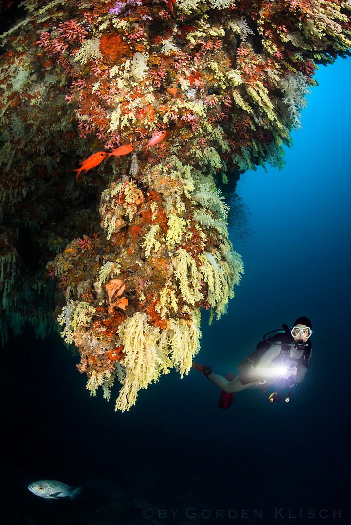 Pillar of Corals