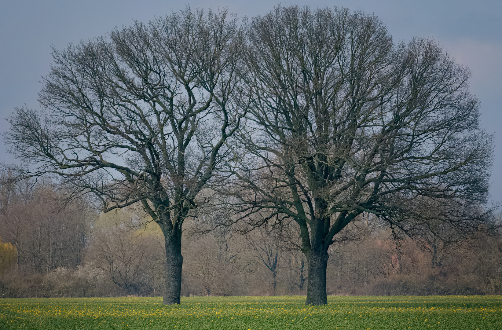 Pillars of Nature