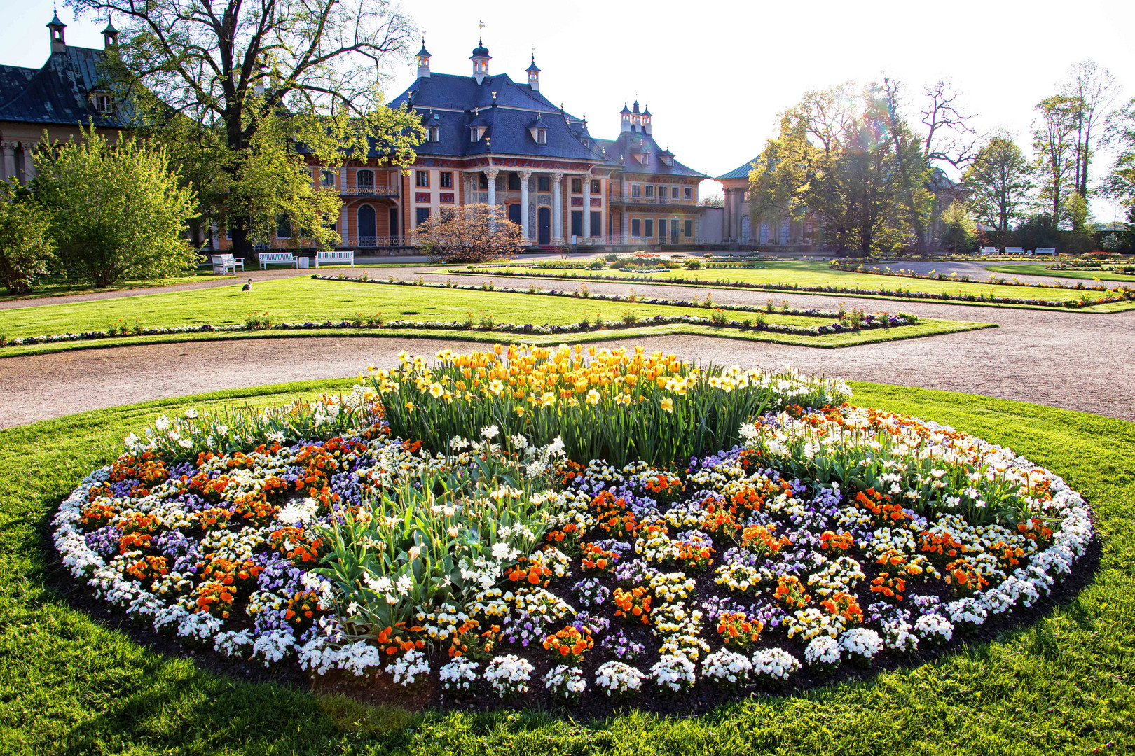 Pillnitz im Frühling