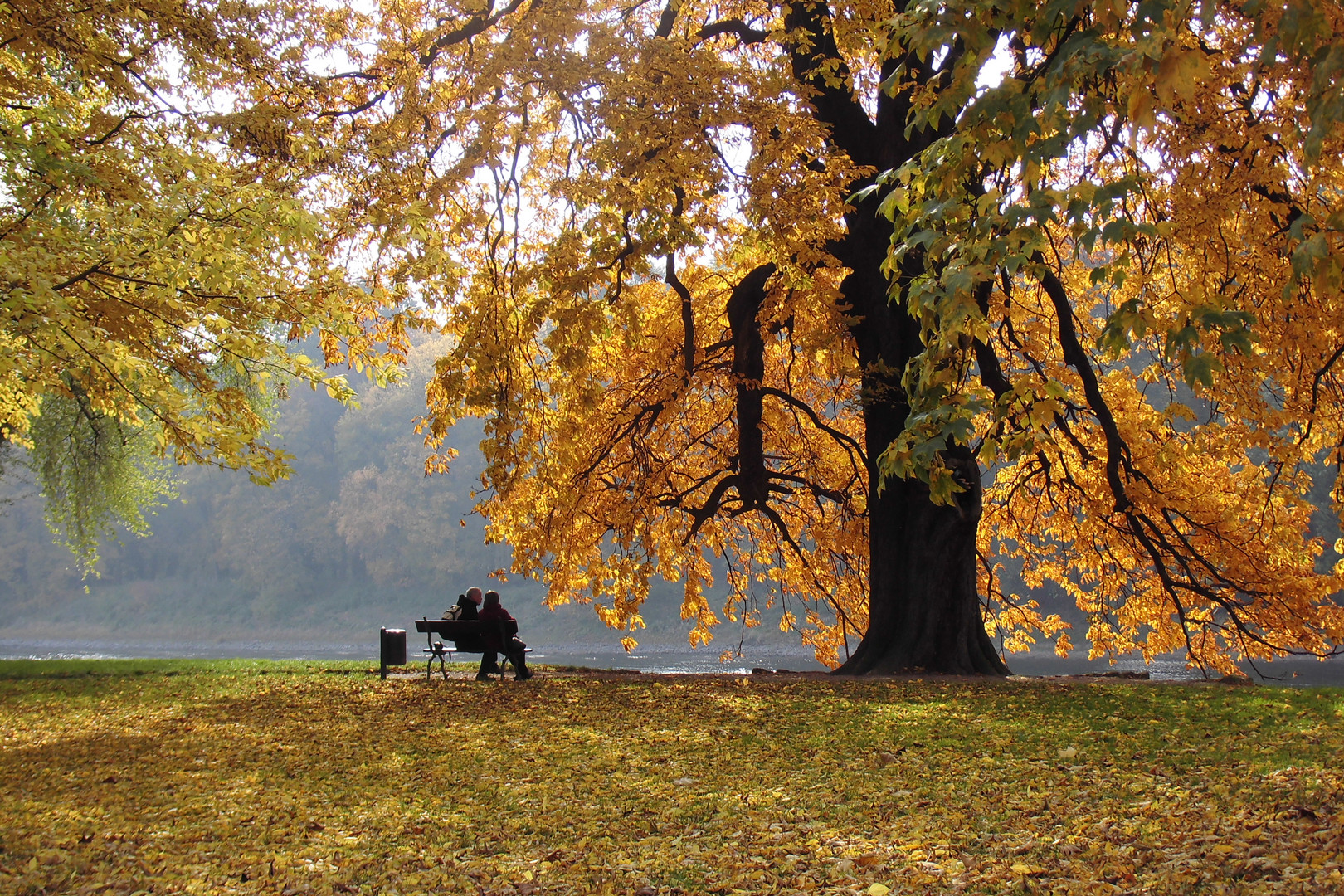 Pillnitz im Herbst