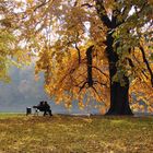 Pillnitz im Herbst