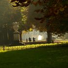 Pillnitz im Herbst