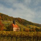 Pillnitzer Weinbergskirche 2