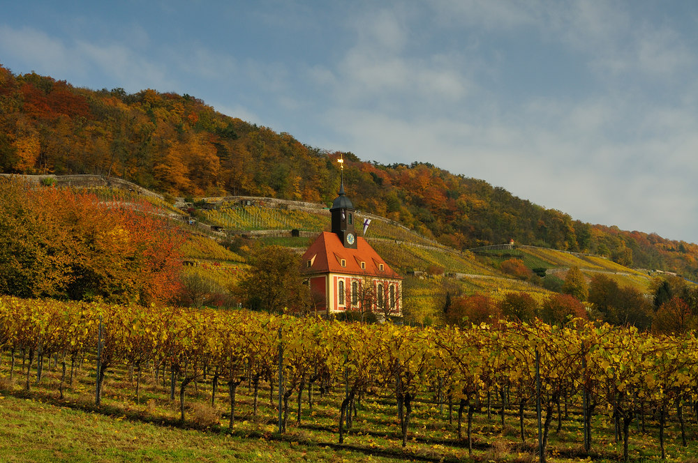 Pillnitzer Weinbergskirche