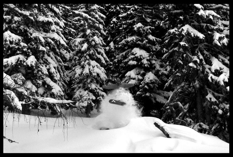 pillows&powpow