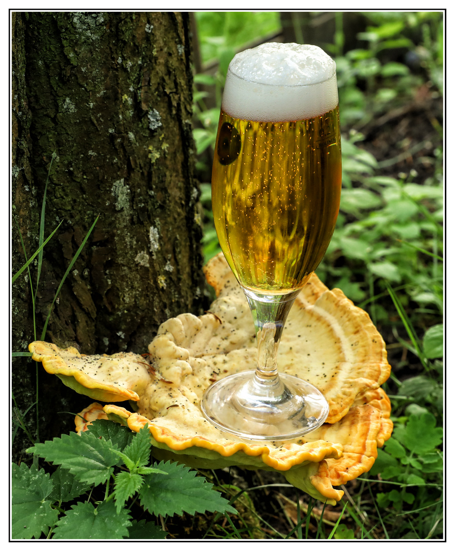 Pils auf Pilz 