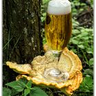 Pils auf Pilz 