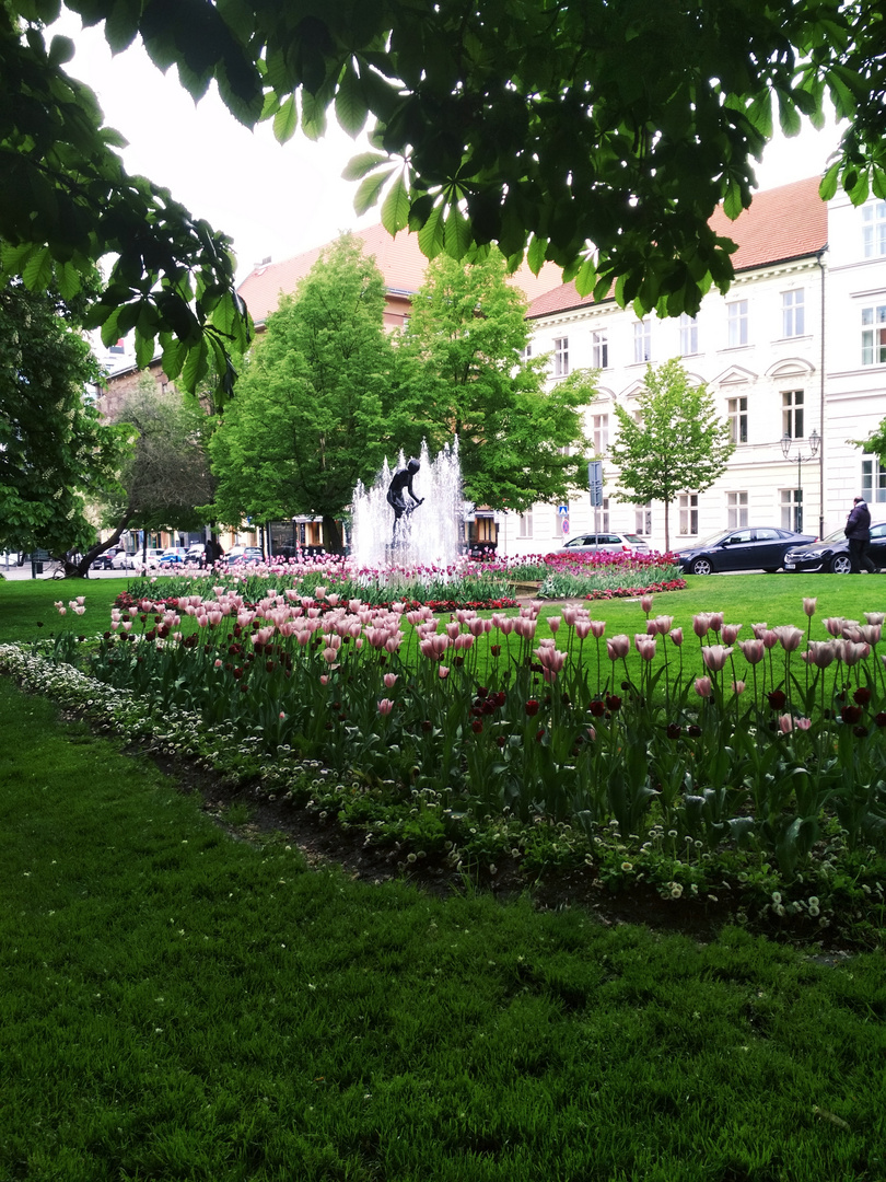 Pilsen park in May 2019