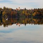 Pilsensee