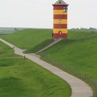 Pilsum - alleine in der Landschaft