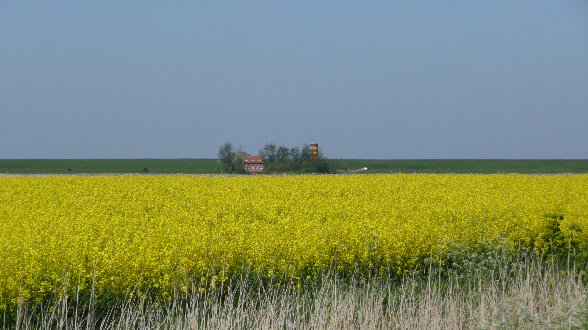 Pilsum Landschaft mit Leuchtturm