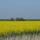 Pilsum Landschaft mit Leuchtturm