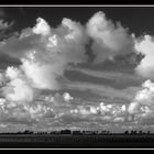 Pilsum Nordsee