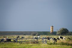 Pilsumer Leuchtturm vor einer Regenfront