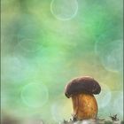 Pilz im Herbstwald