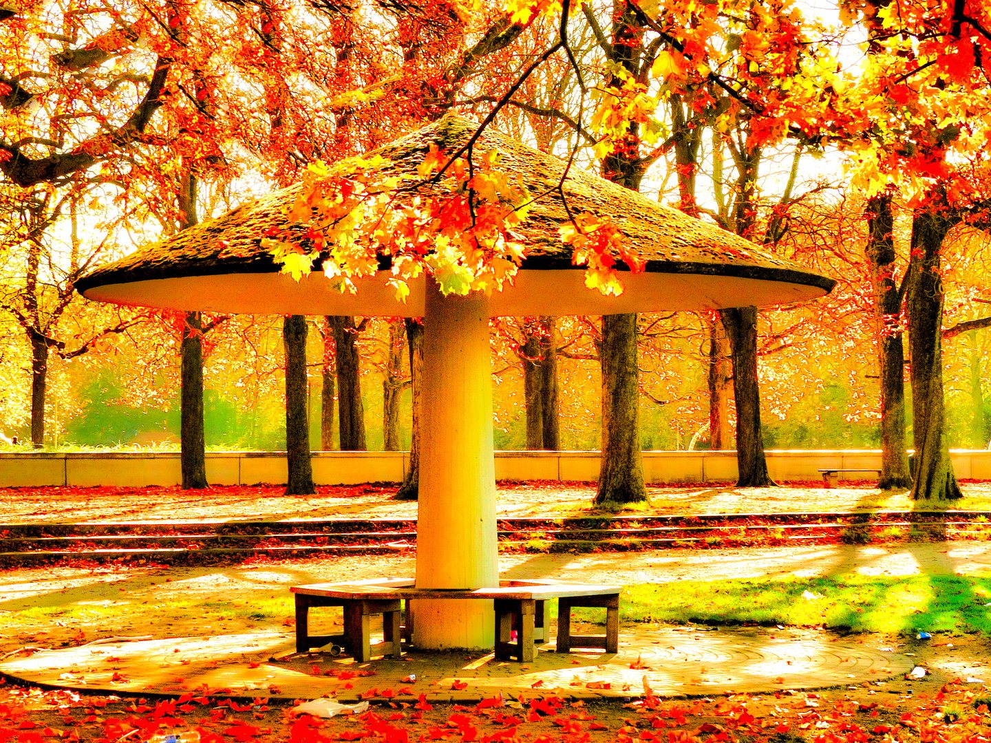 Pilz im Märchen-Park (Traumwelt im Herbstlichen Gewand)) 