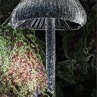 Pilz in der Baumrinde, surreal