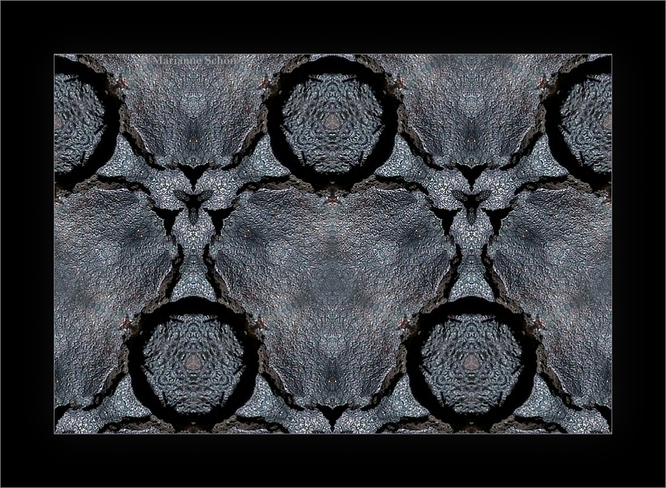 Pilz-Kaleidoskop