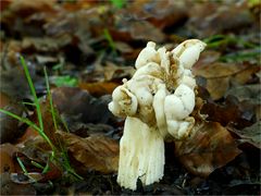 Pilz-Skulptur